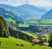 Tirol